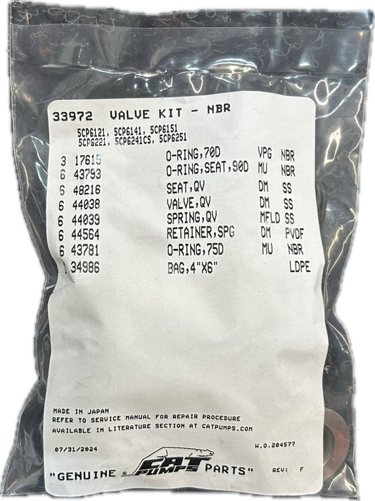 Cat Pumps 33972 Valve Kit - 5CP6131, 5CP6141, 5CP6151, 5CP6221, 5CP6241C5, 5CP6251